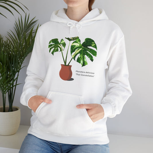 Monstera Deliciosa 'Thai Constellation' Plant Hoodie - White