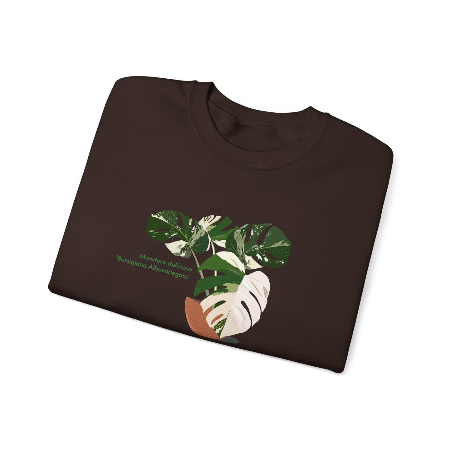 Monstera Deliciosa Borsigiana Albovariegata Plant Lover Crewneck Sweatshirt