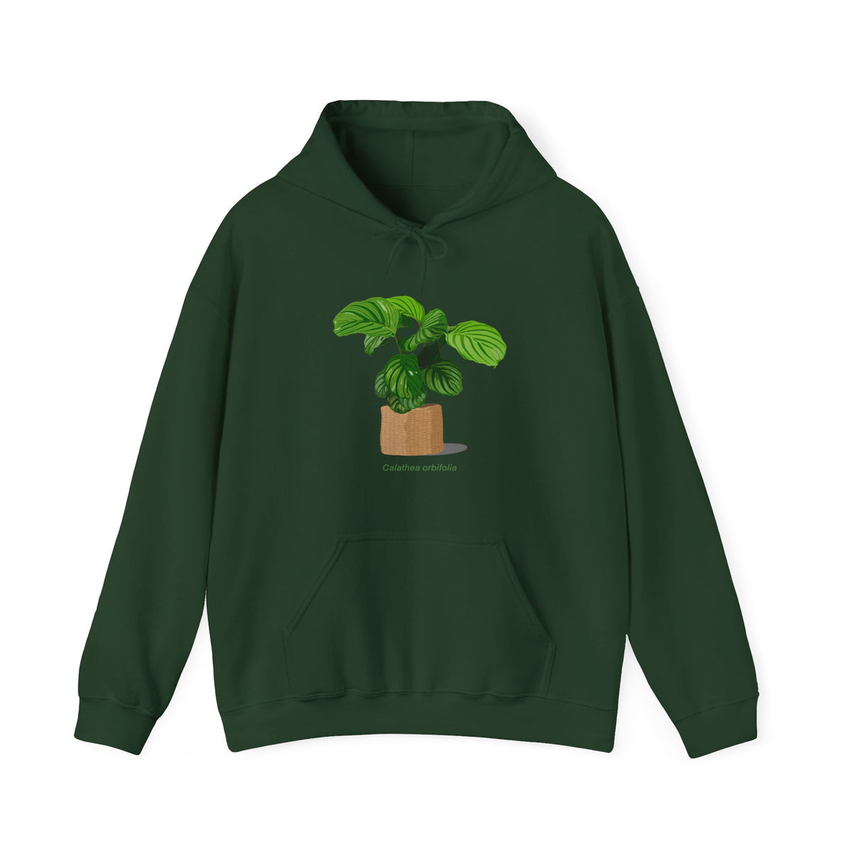 Calathea Orbifolia Plant Hoodie