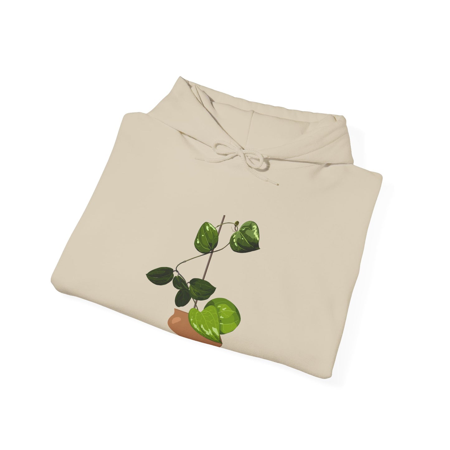 Hoya Sarawak Plant Hoodie