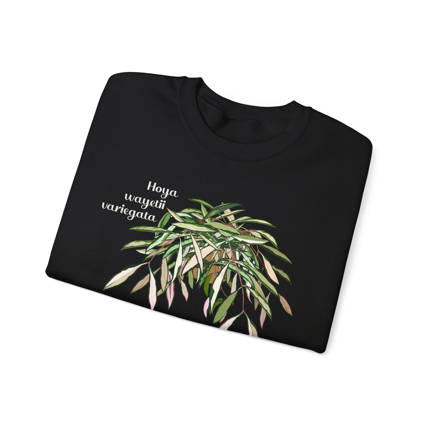 Hoya Wayetii Variegata Plant Lover Crewneck Sweatshirt - Black