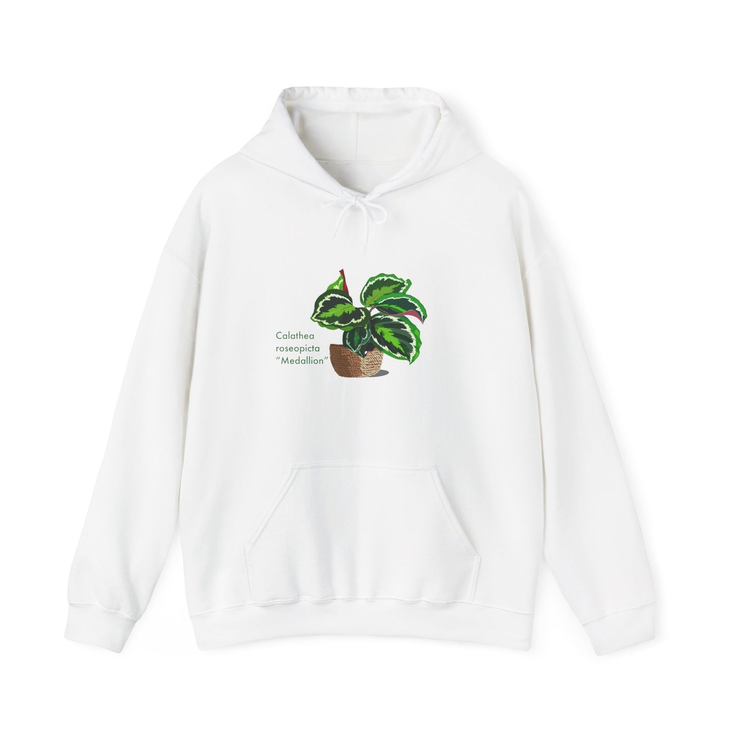 Calathea Roseopicta 'Medallion' Plant Hoodie
