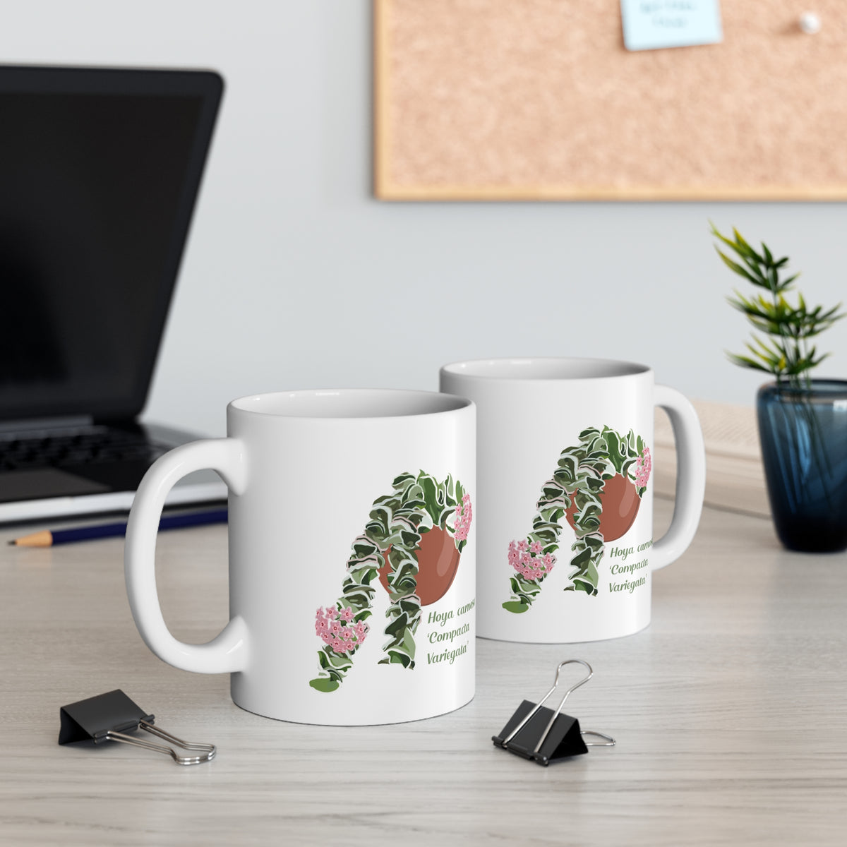 Blooming Hoya Carnosa 'Compacta Variegata' Hindu Rope Plant Lover Mug - White