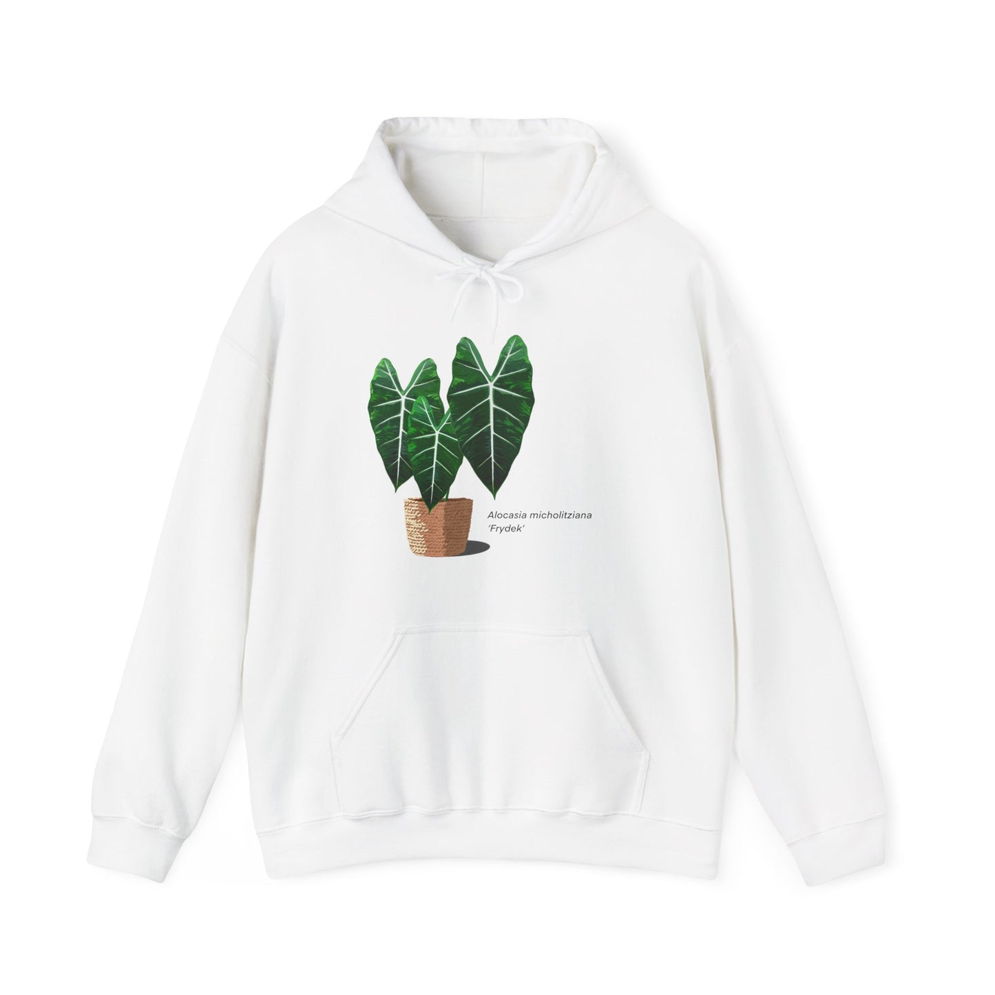 Alocasia Micholitziana 'Frydek' Plant Hoodie - White