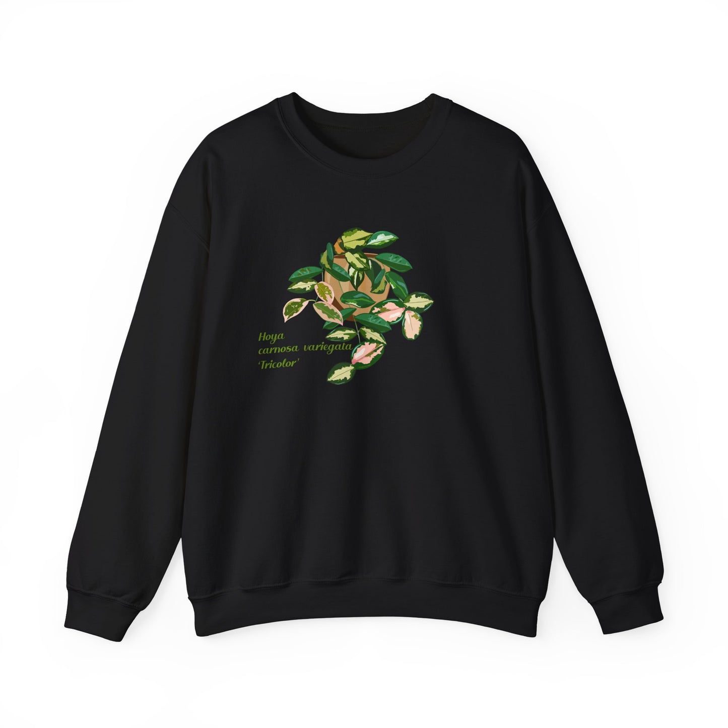 Hoya Carnosa Variegata Tricolor Plant Lover Crewneck Sweatshirt