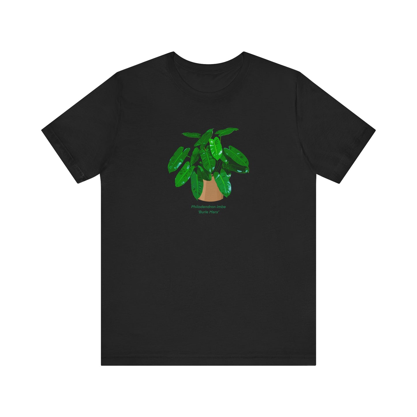 Philodendron Imbe 'Burle Marx' Plant Lover T-Shirt - White, Natural, Black