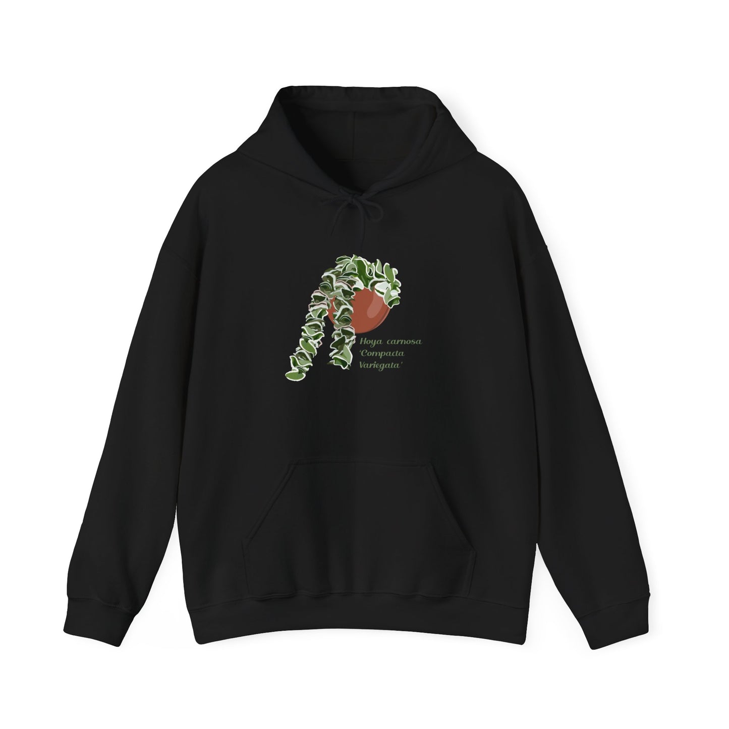 Hoya Carnosa 'Compacta Variegata' Hindu Rope Hoodie