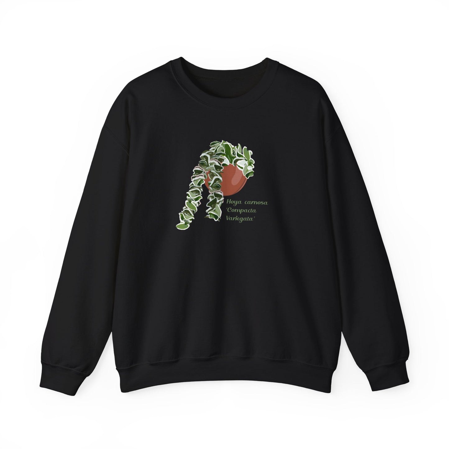 Hoya Carnosa 'Compacta Variegata' Plant Lover Crewneck Sweatshirt