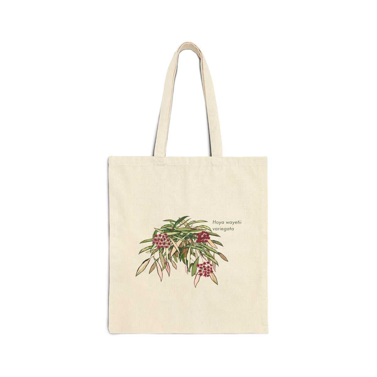 Blooming Hoya Wayettii Variegata Canvas Tote Bag | Potted Houseplant Illustration, Plant Lover Tote