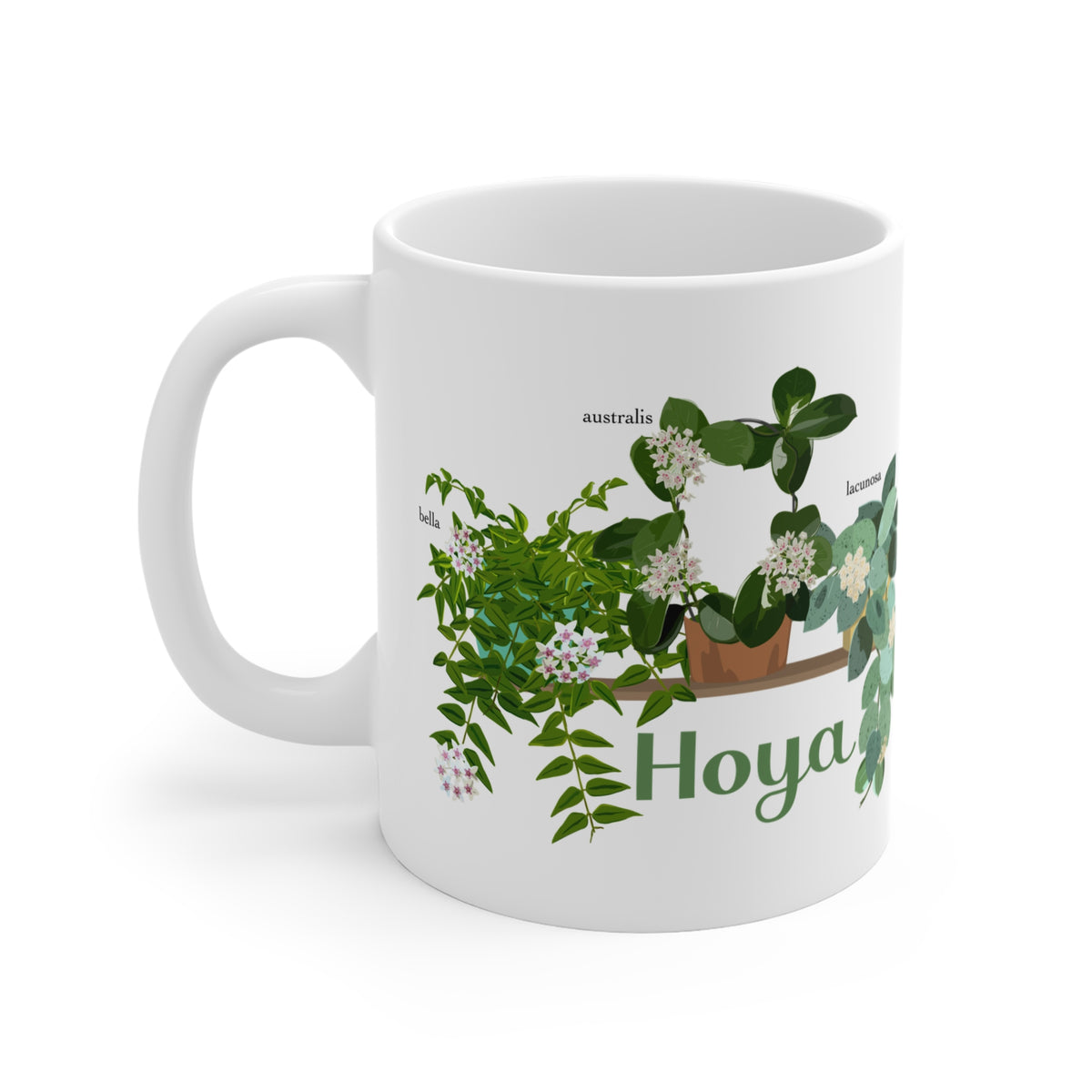 Hoya Lacunosa, Bella, & Australis Trio Plant Lover Mug - White