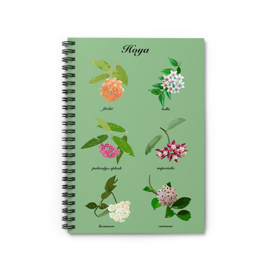 Hoyas in Bloom spiral notebook with ruled line paper. Great for writing down plant wish list, new ideas, to do list, shopping list and journal.  Perfect gift for plant lovers.