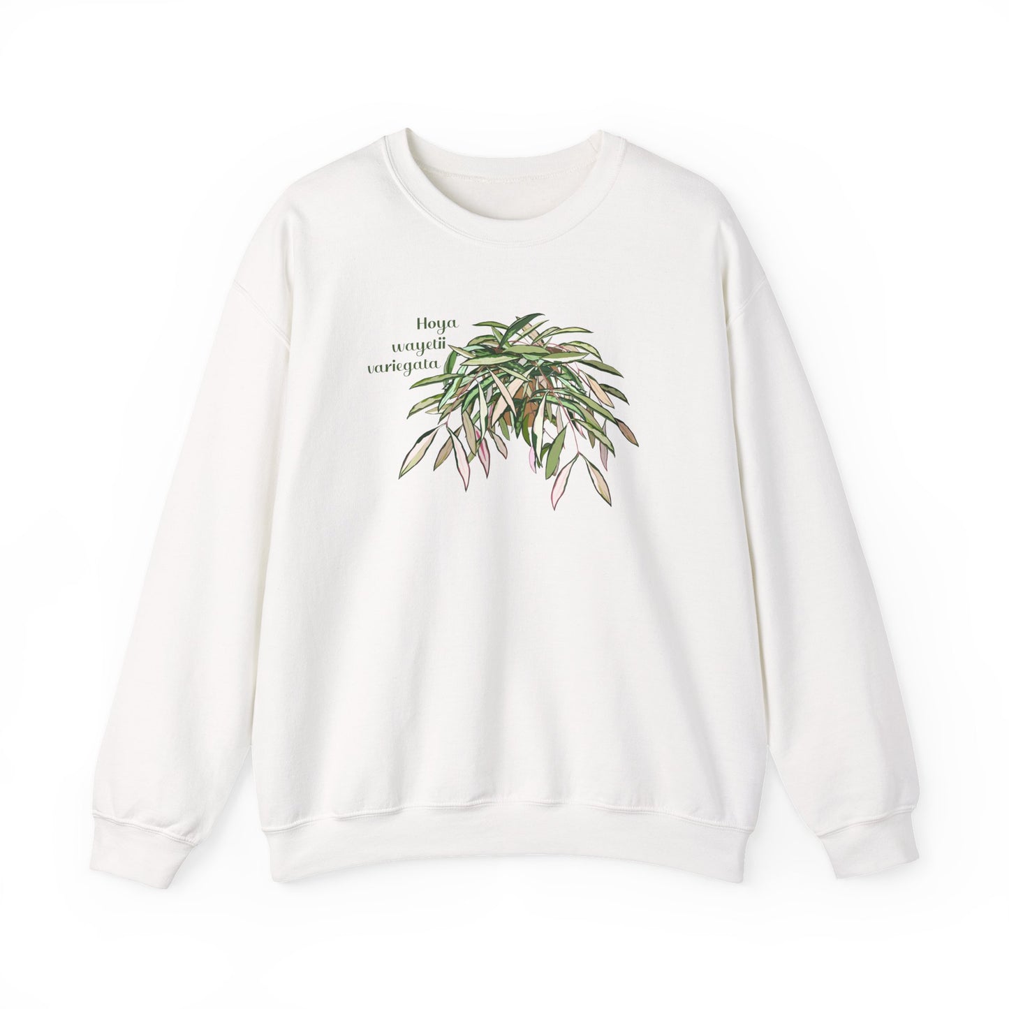 Hoya Wayetii Variegata Plant Lover Crewneck Sweatshirt