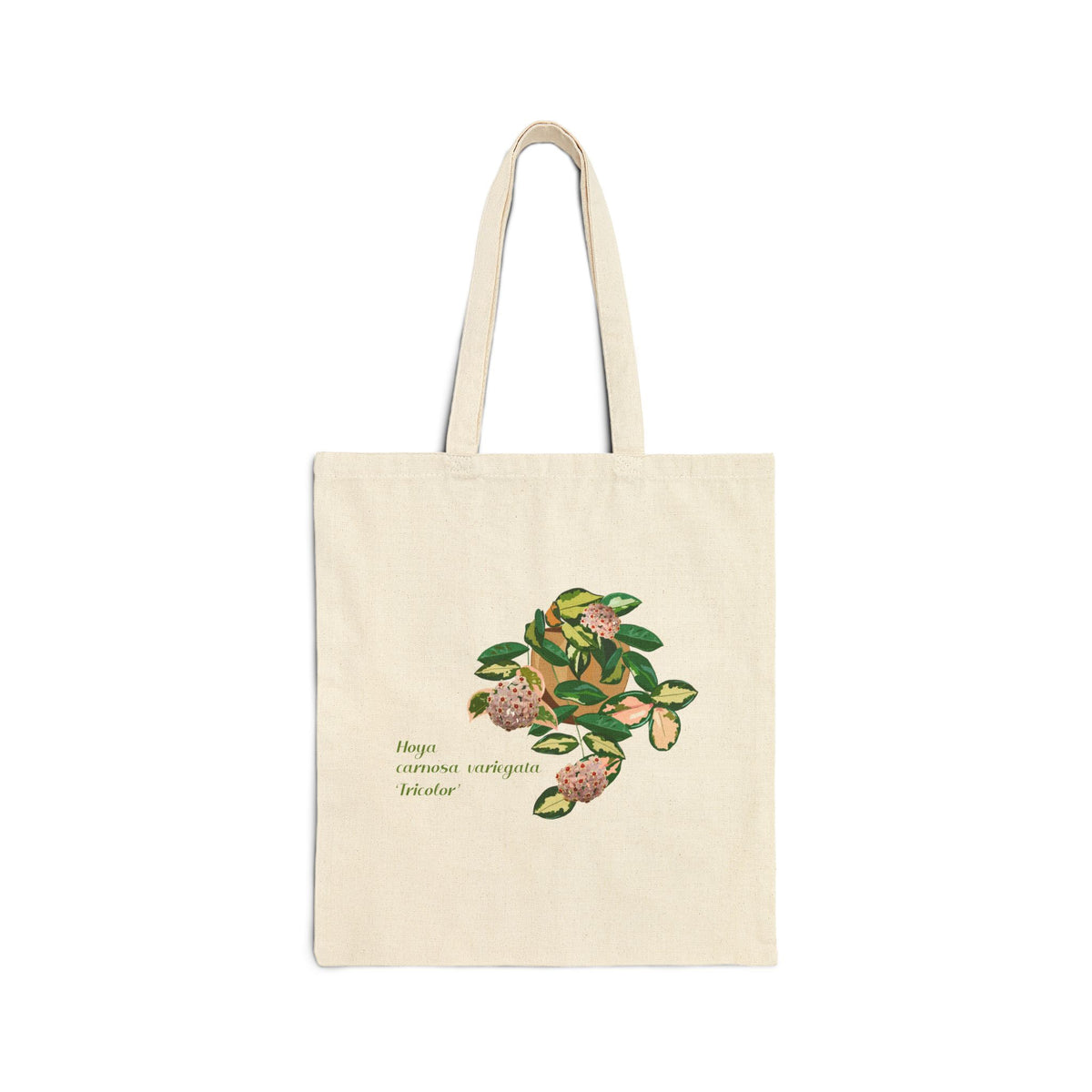 Blooming Carnosa Variegata 'Tricolor' Canvas Tote Bag | Potted Houseplant Illustration, Plant Lover Tote