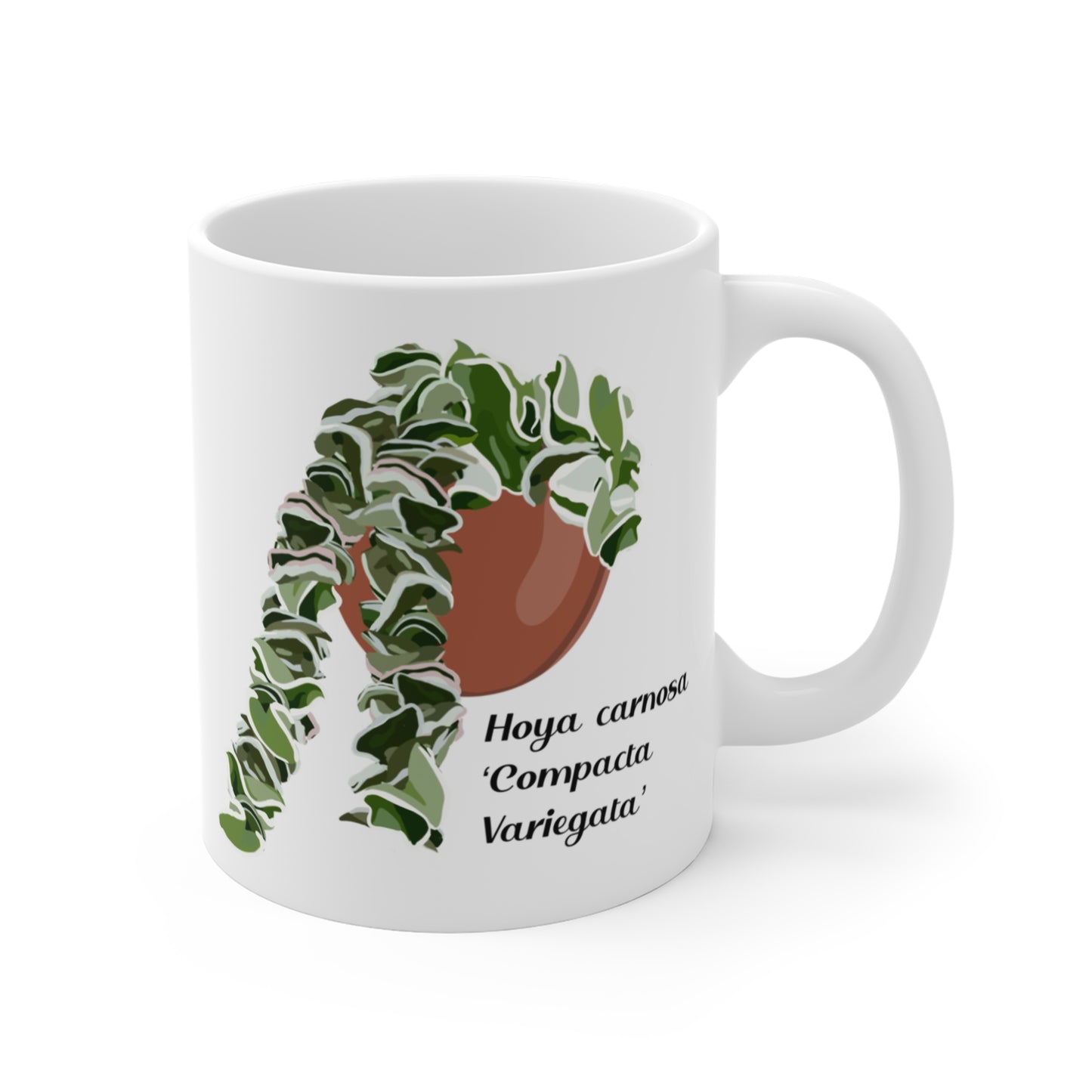 Hoya Carnosa Compacta Variegata coffee/tea mug. Original design of Hoya Hindu Rope mug. Great gift for plant lovers and Hoya lovers!