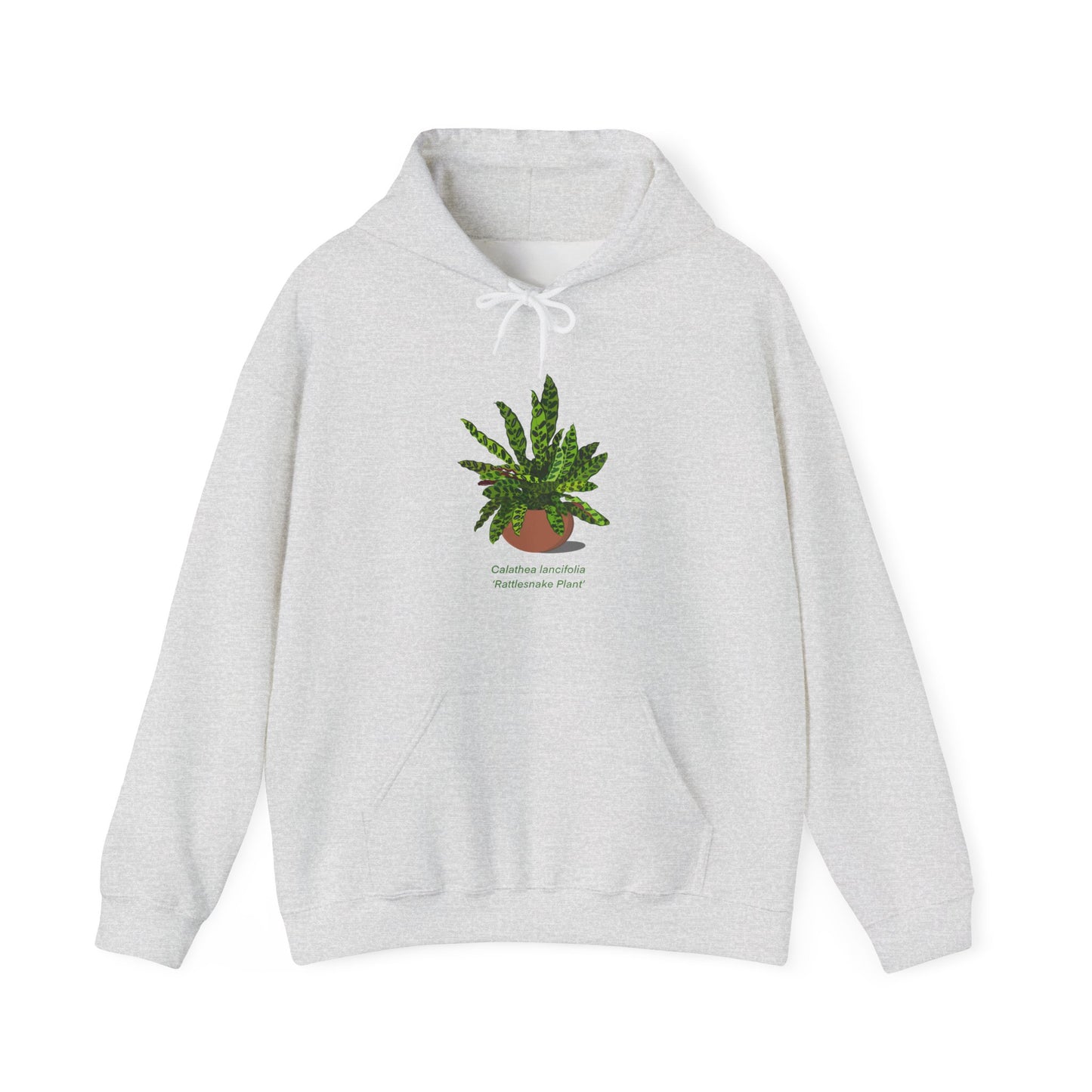 Calathea Lancifolia Rattlesnake Plant Hoodie