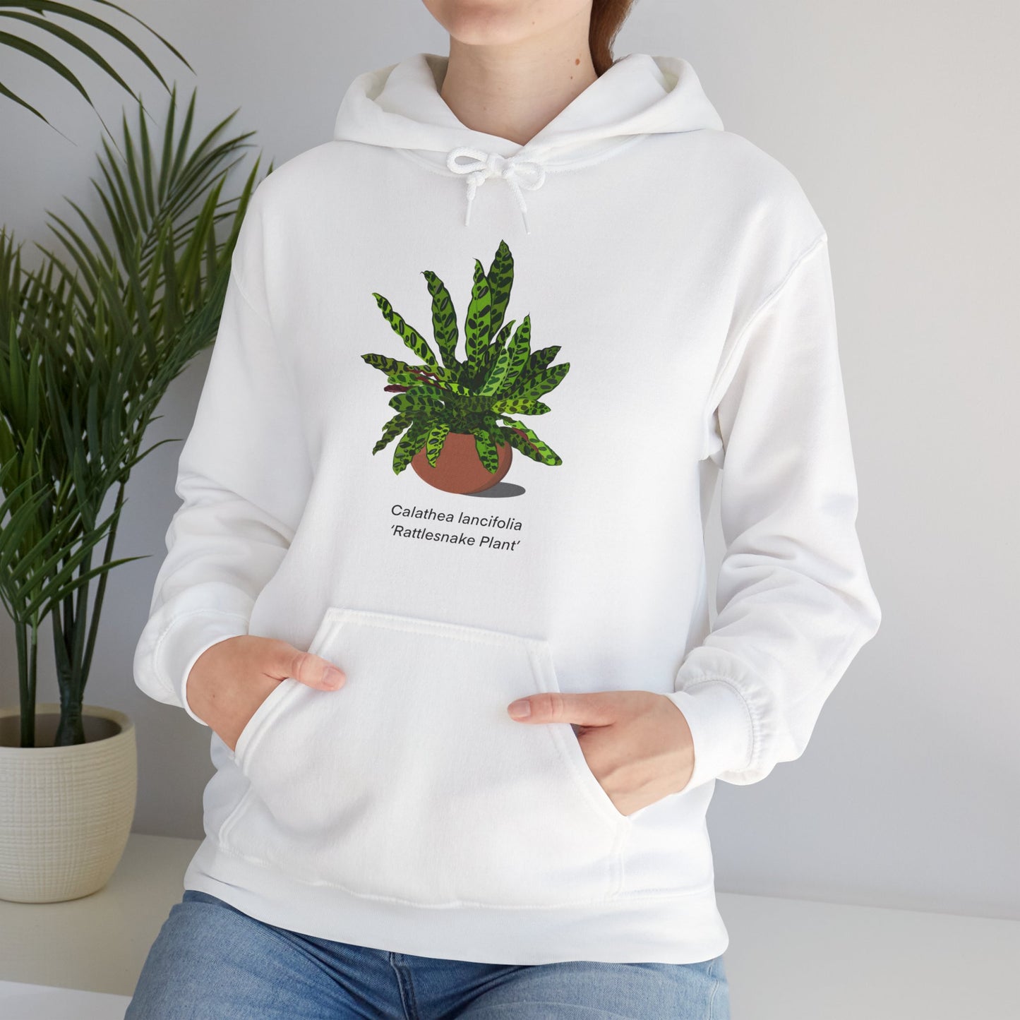 Calathea Lancifolia Rattlesnake Plant Hoodie - White