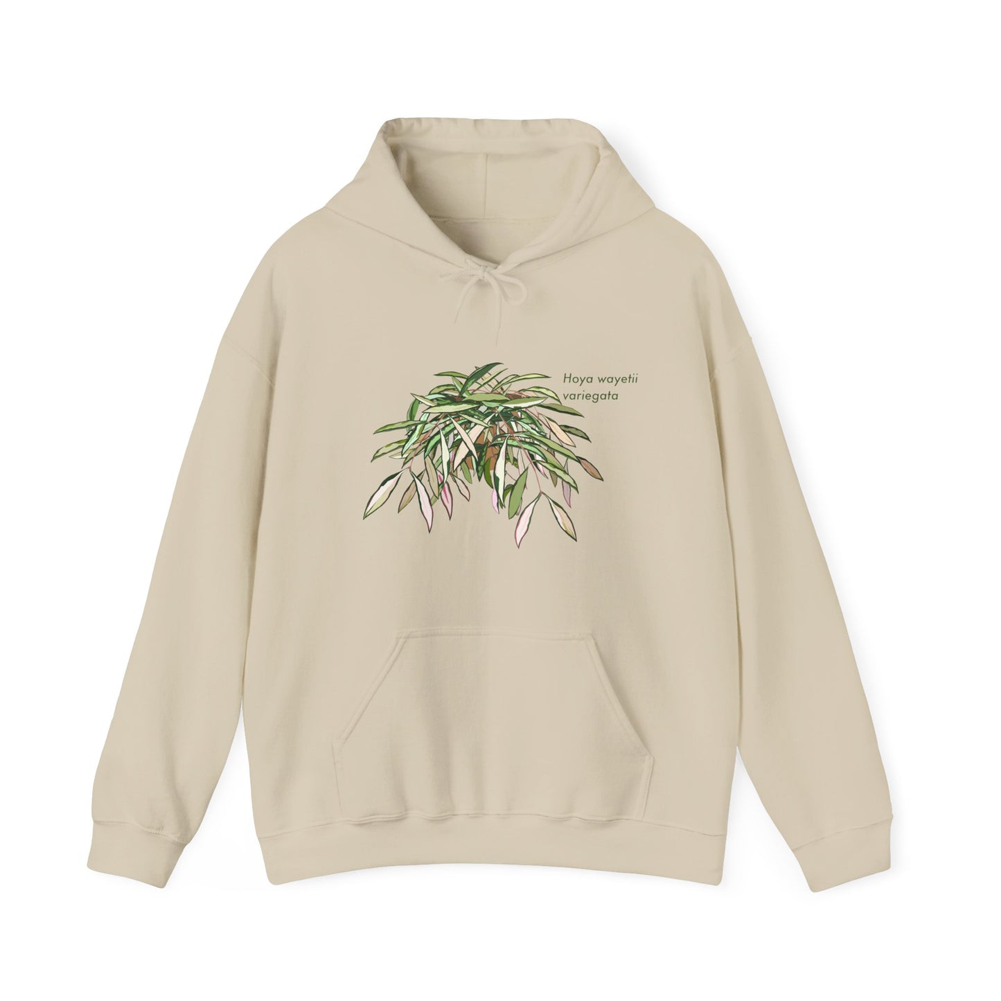 Hoya Wayetii Variegata Plant Hoodie