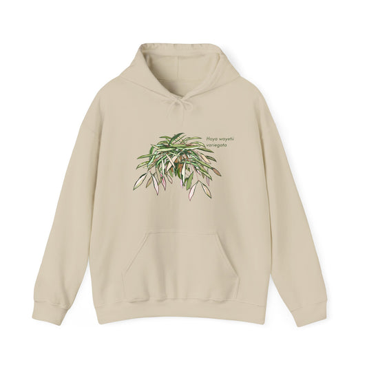 Hoya Wayetii Variegata Plant Hoodie