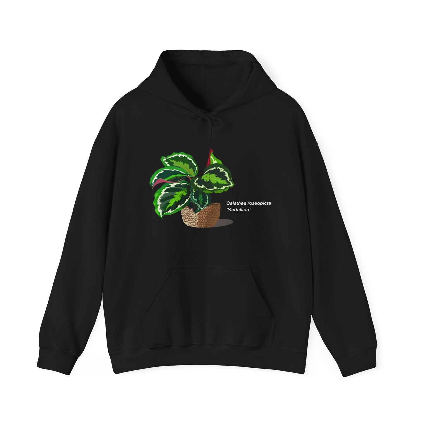 Calathea Roseopicta 'Medallion' Plant Hoodie - Black