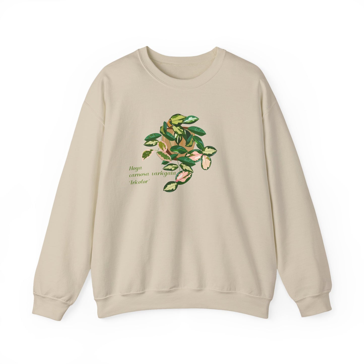 Hoya Carnosa Variegata Tricolor Plant Lover Crewneck Sweatshirt