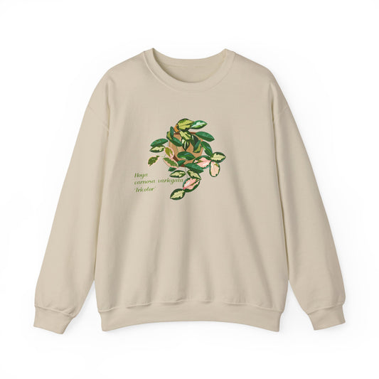Hoya Carnosa Variegata Tricolor Plant Lover Crewneck Sweatshirt