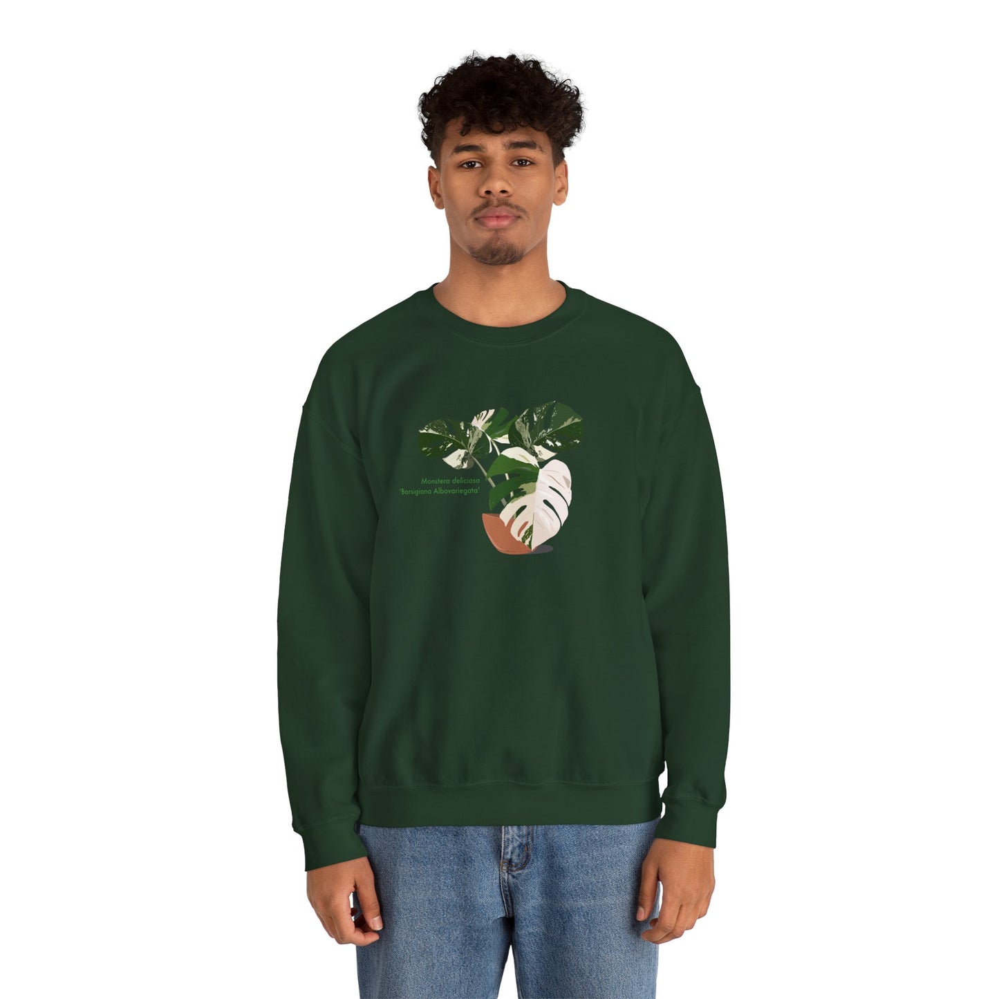 Monstera Deliciosa Borsigiana Albovariegata Plant Lover Crewneck Sweatshirt