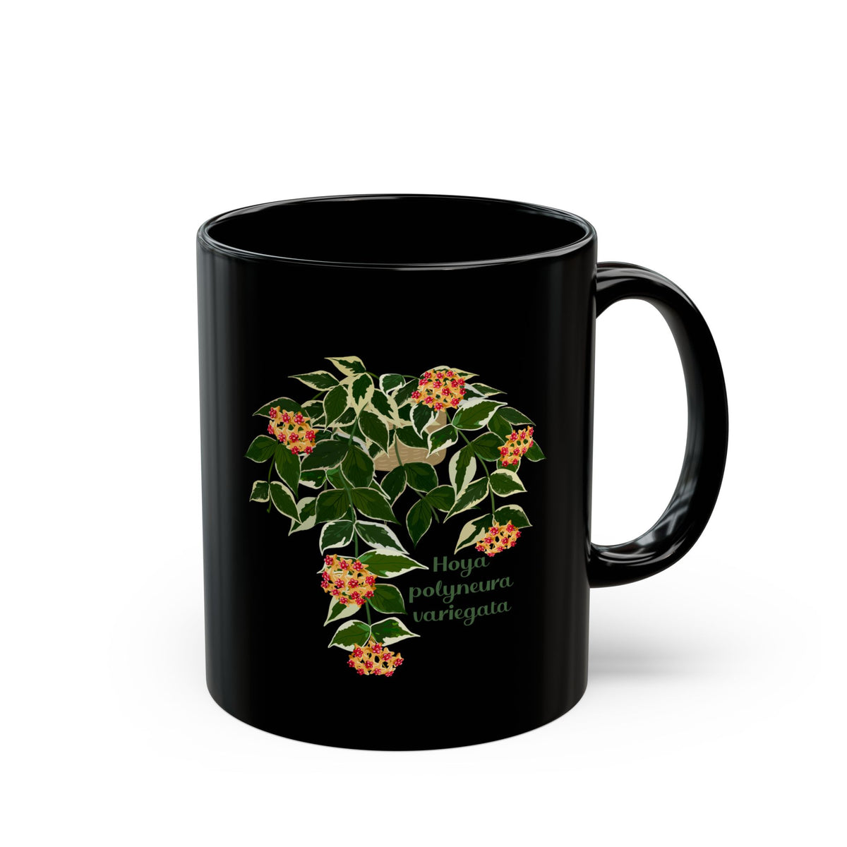 Blooming Hoya Polyneura Variegata Plant Lover Mug - Black