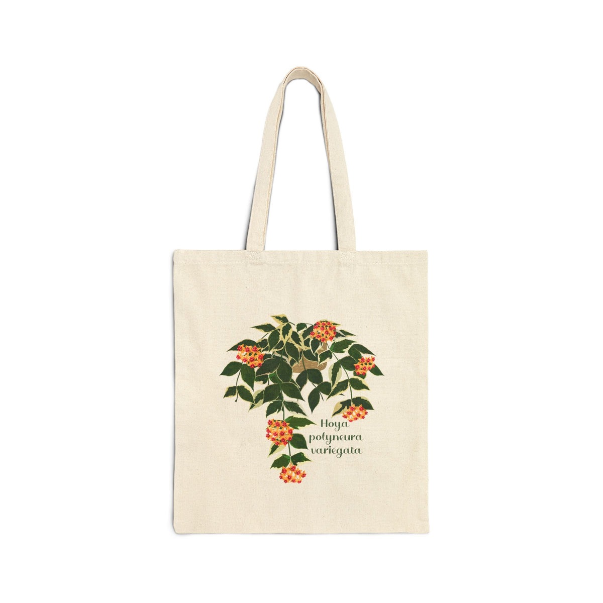 Blooming Hoya Polyneura Variegata Canvas Tote Bag | Potted Houseplant Illustration, Plant Lover Tote