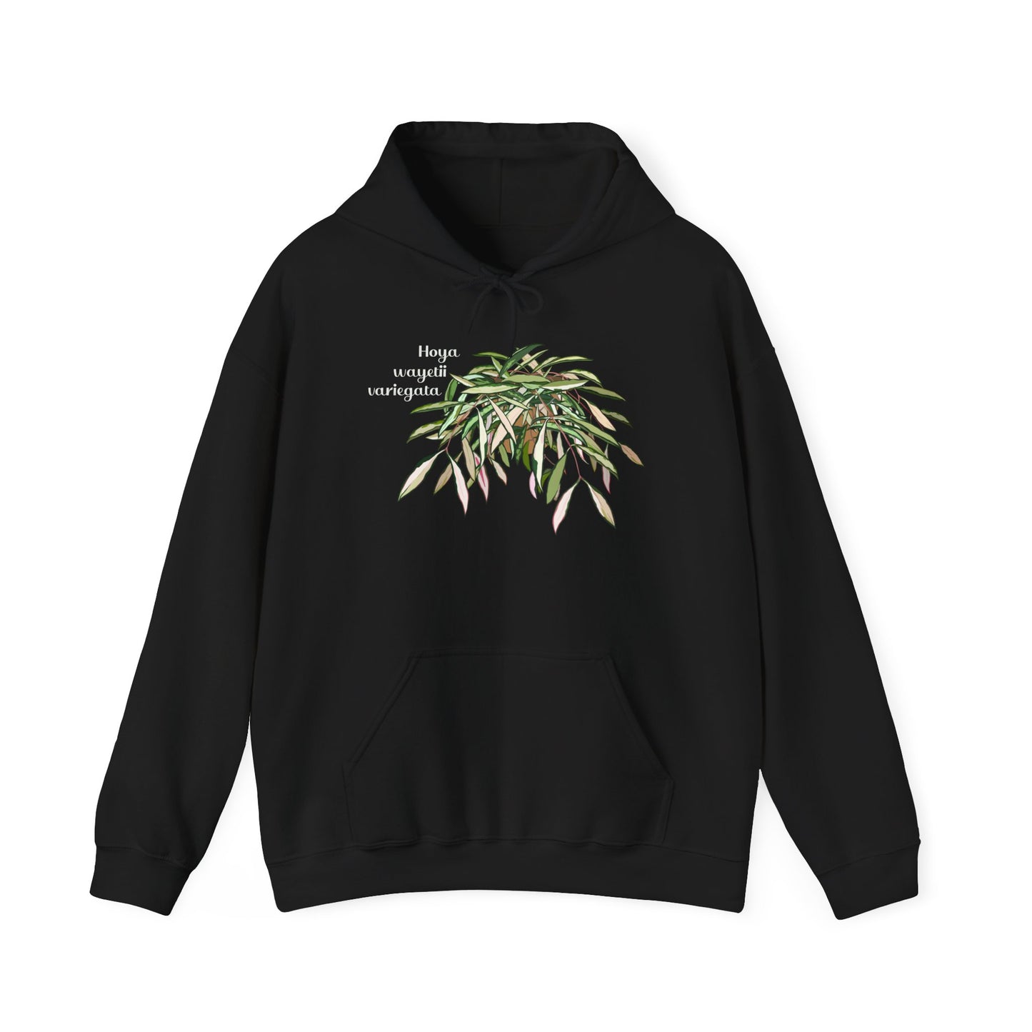 Hoya Wayetii Variegata Plant Hoodie - Black