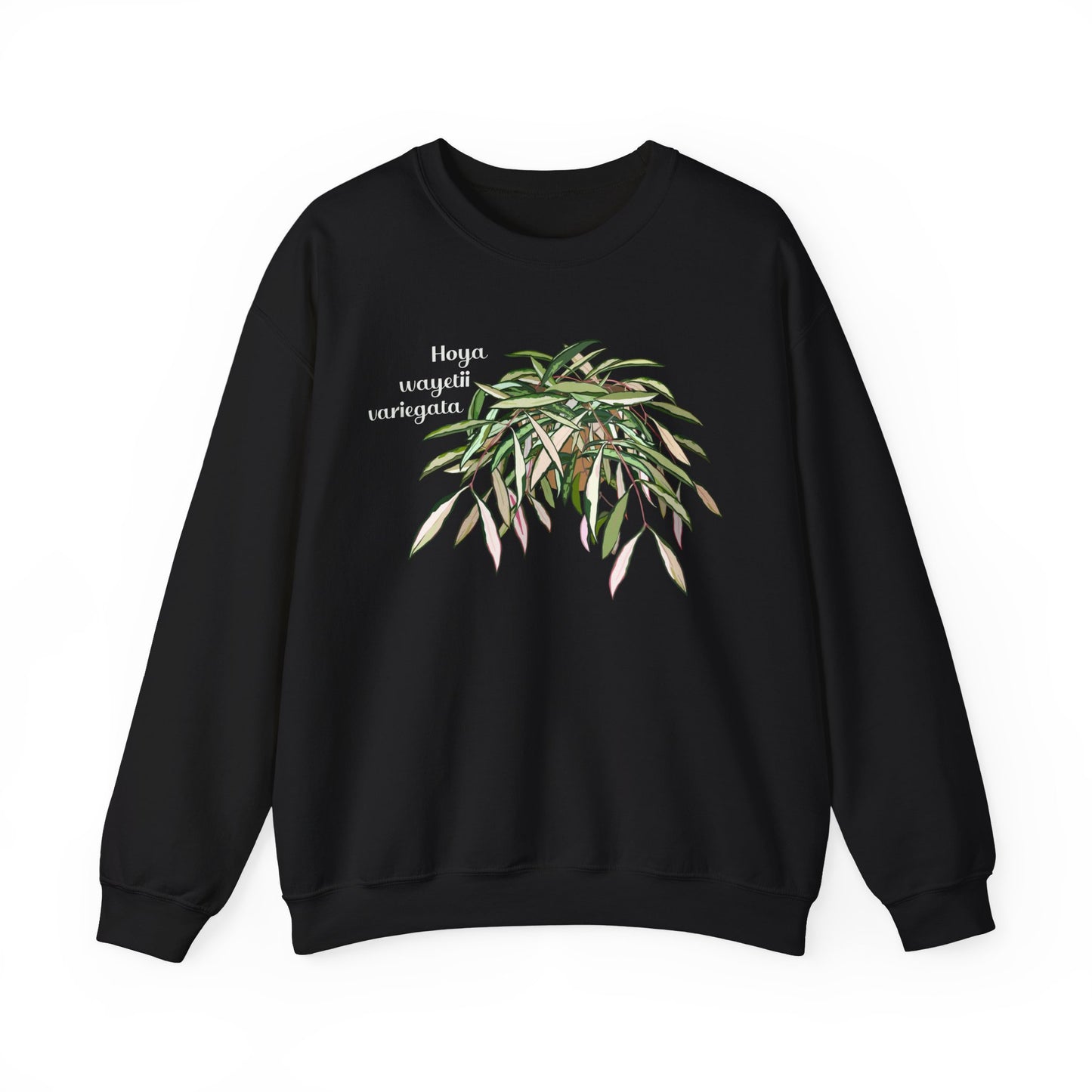 Hoya Wayetii Variegata Plant Lover Crewneck Sweatshirt - Black