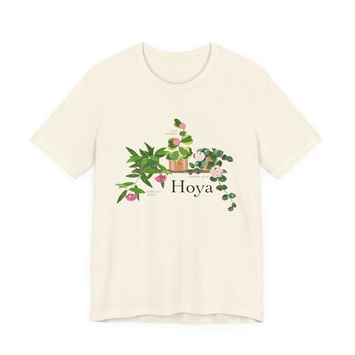 Hoya Mathilde Splash, Kerii Variegata, & Publicalyx Splash Trio T-Shirt for Plant Lovers - White, Natural