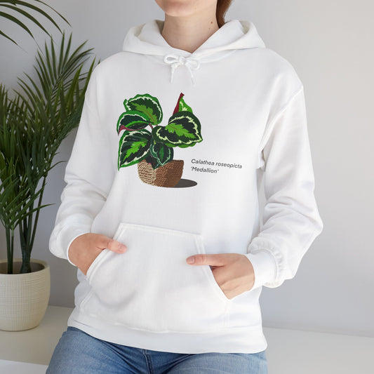 Calathea Roseopicta 'Medallion' Plant Hoodie - White