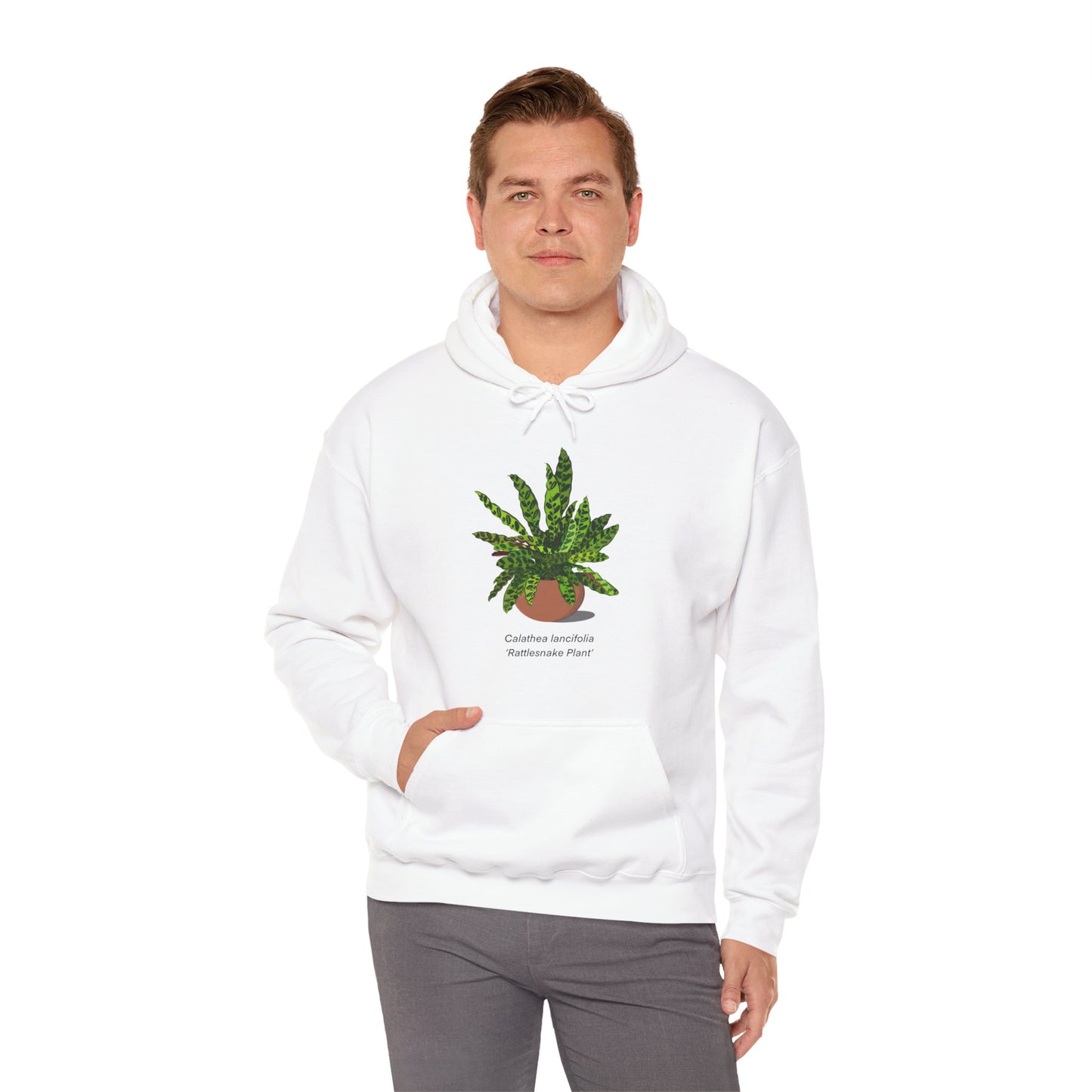 Calathea Lancifolia Rattlesnake Plant Hoodie - White