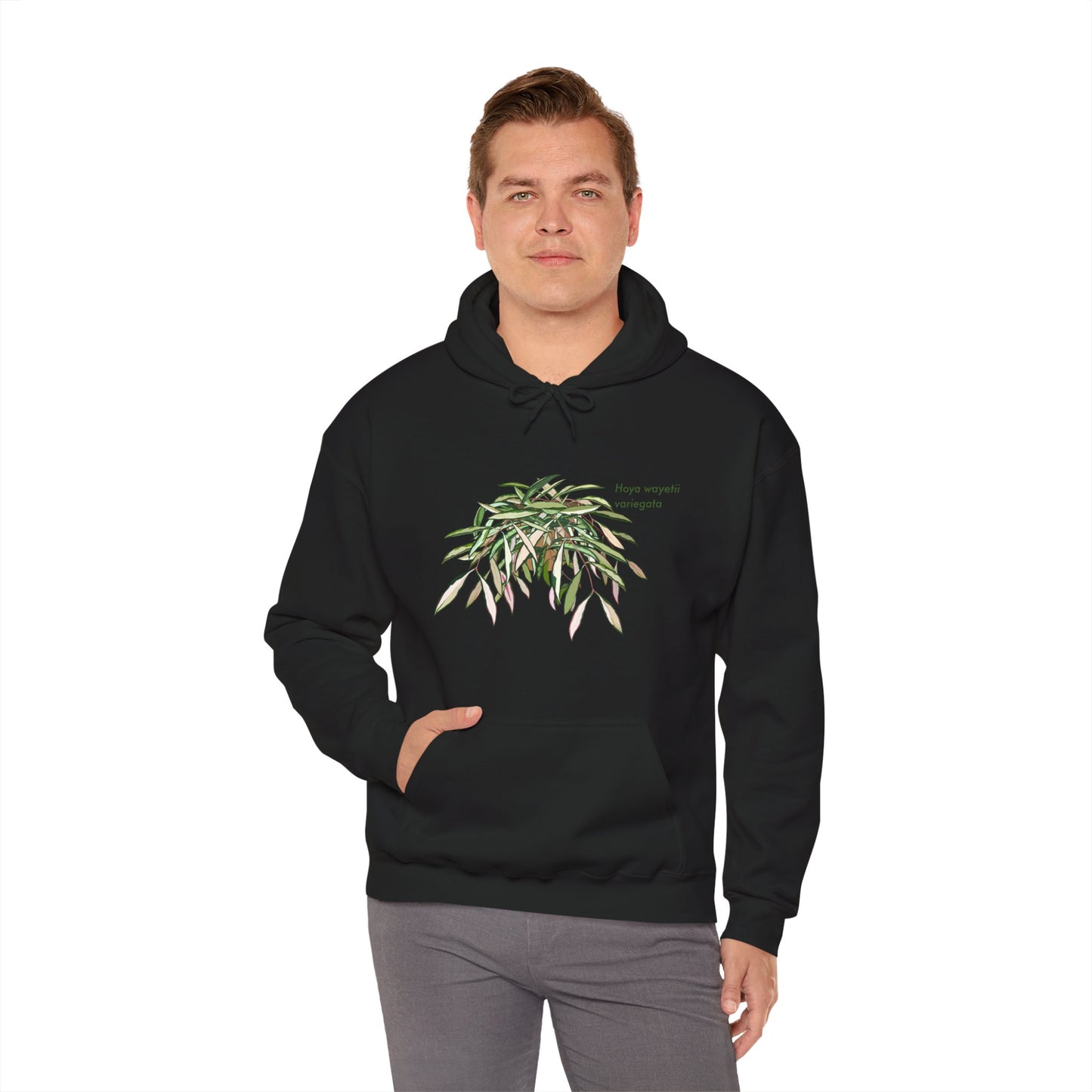 Hoya Wayetii Variegata Plant Hoodie