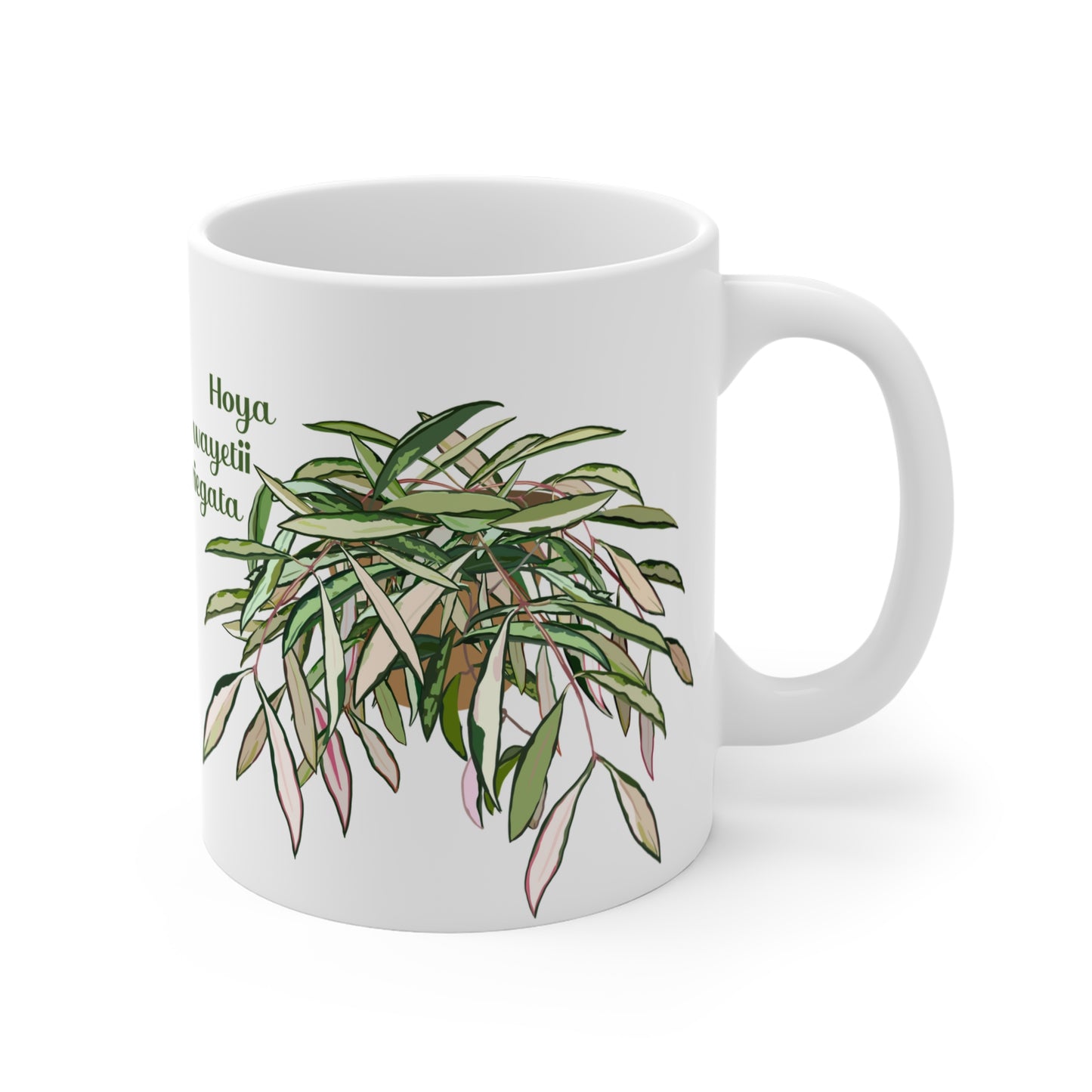 Hoya Wayetii Variegata Plant Lover Mug - White