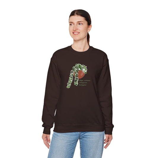 Hoya Carnosa 'Compacta Variegata' Plant Lover Crewneck Sweatshirt