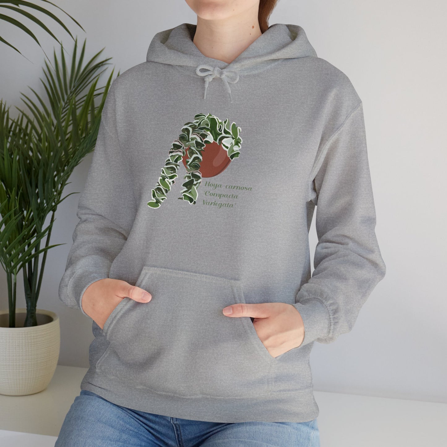 Hoya Carnosa 'Compacta Variegata' Hindu Rope Hoodie