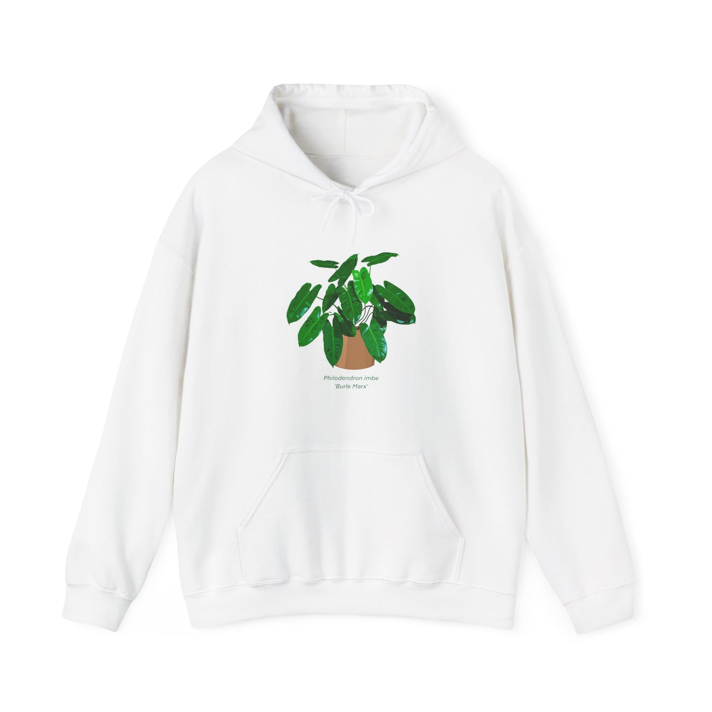 Philodendron Imbe 'Burle Marx' Plant Hoodie