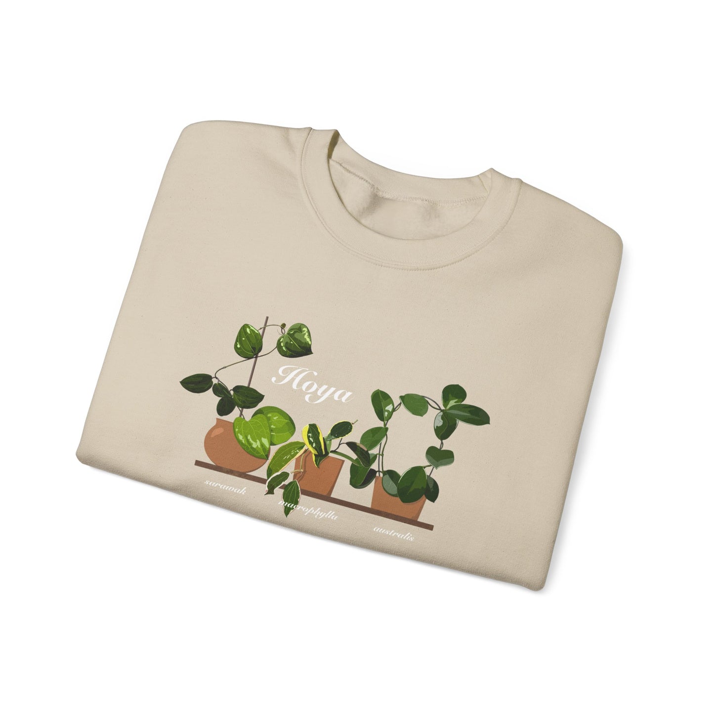 Hoya Sarawak, Macrophylla and Australis Trio Plant Lover Crewneck Sweatshirt