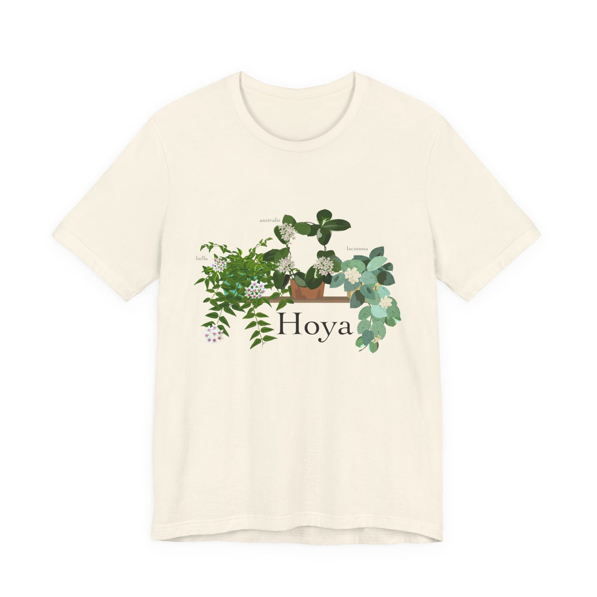 Hoya Lacunosa, Bella, & Australis Trio T-Shirt for Plant Lovers - White, Natural