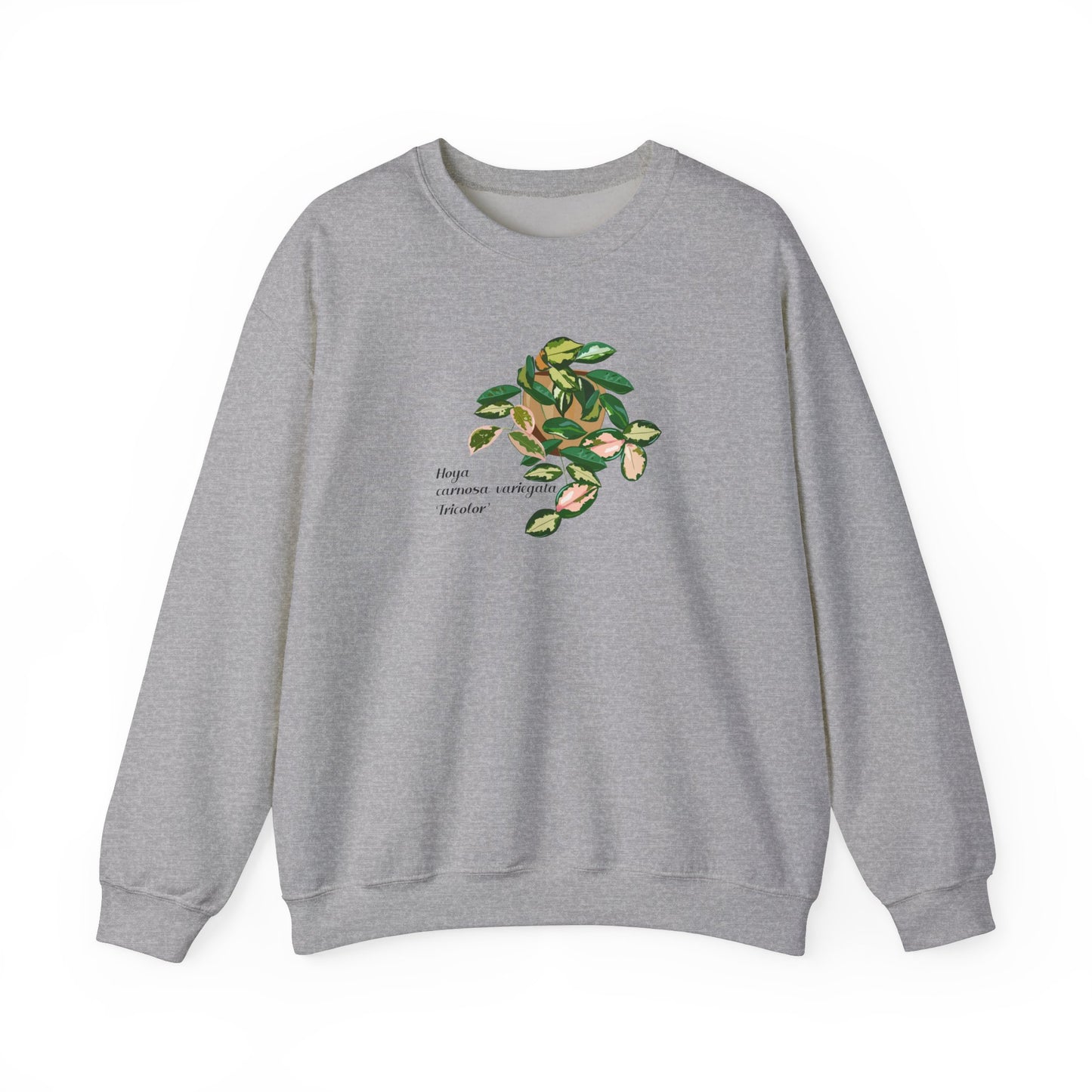 Hoya Carnosa Variegata Tricolor Plant Lover Crewneck Sweatshirt - Grey