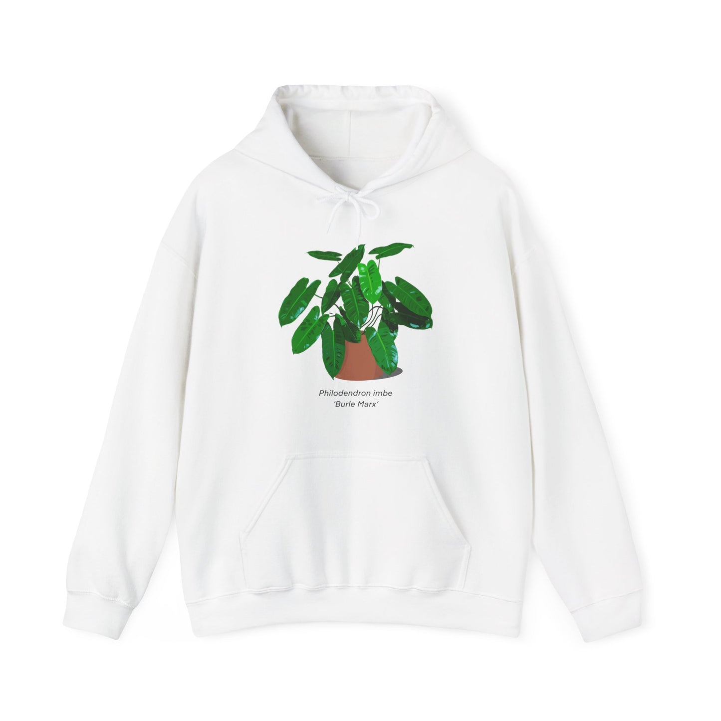 Philodendron Imbe 'Burle Marx' Plant Hoodie - White