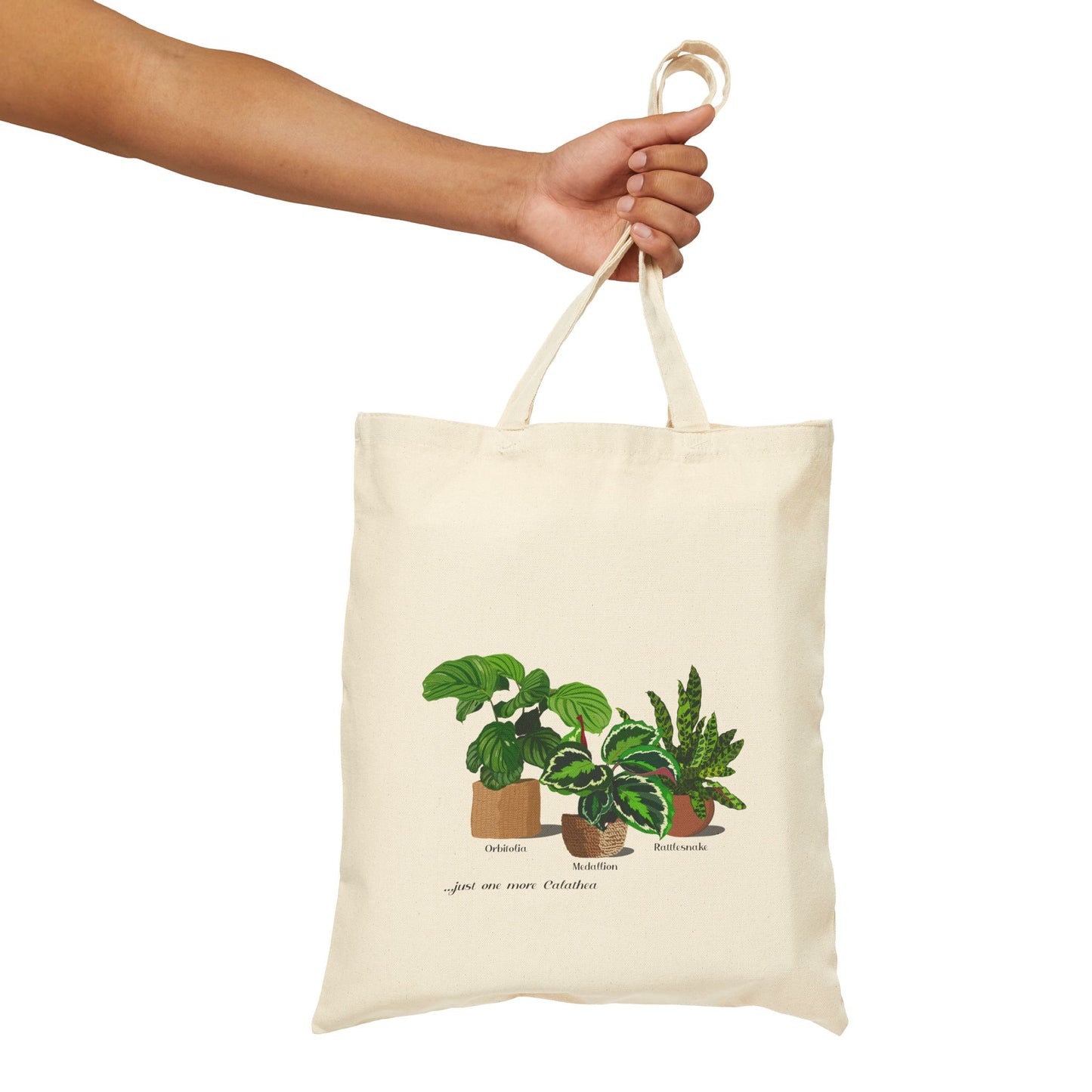 Calathea Orbifolia, Medallion and Rattlesnake Plant Trio Canvas Tote Bag