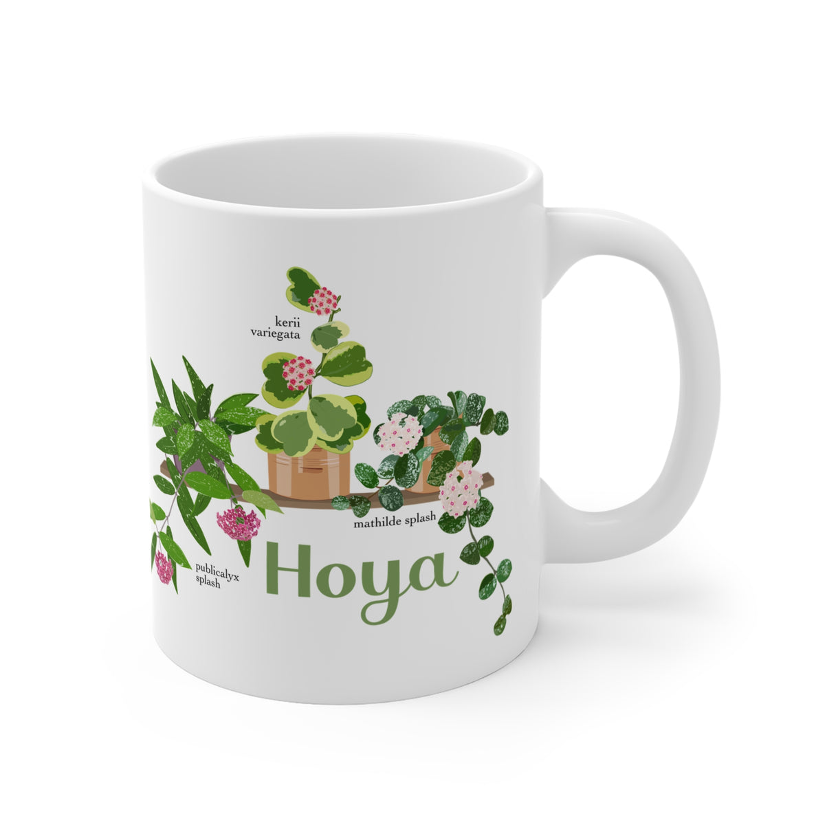 Hoya Mathilde Splash, Kerii Variegata, & Publicalyx Splash Trio Plant Lover Mug - White