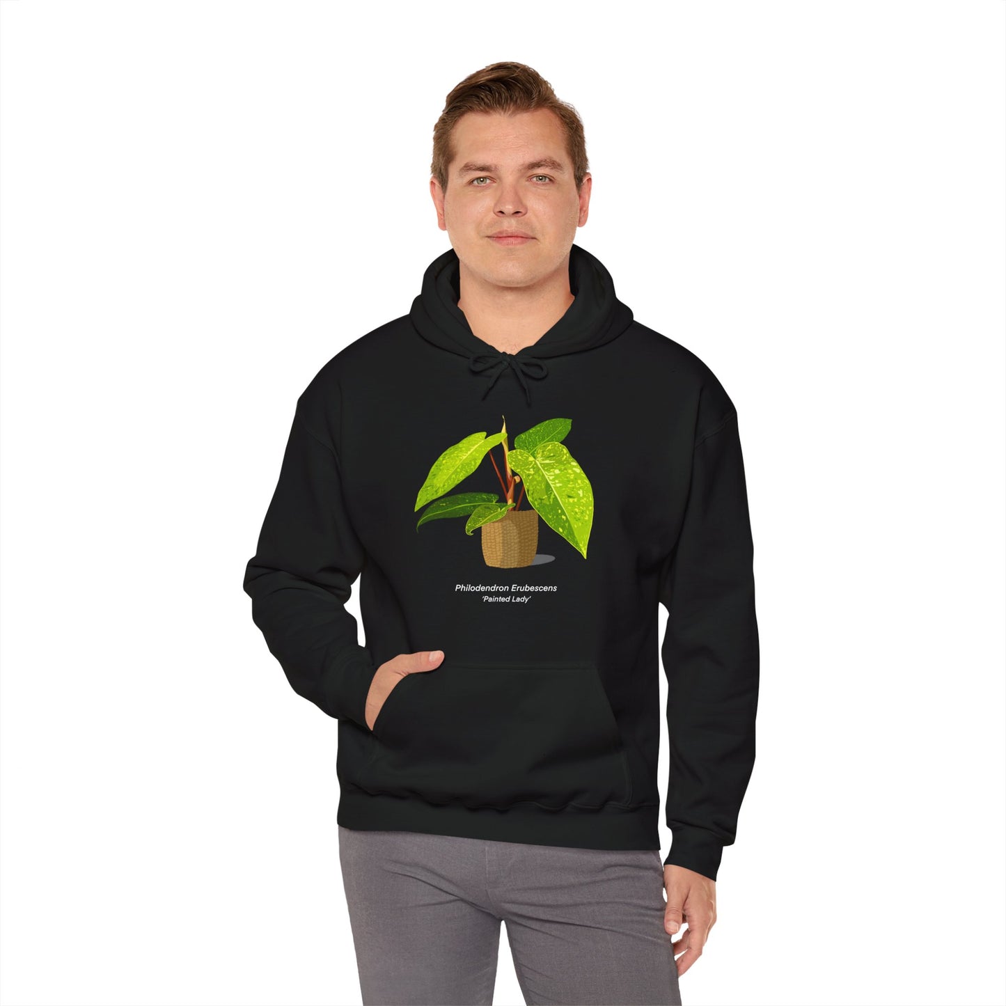 Philodendron Painted Lady Plant Hoodie - Black