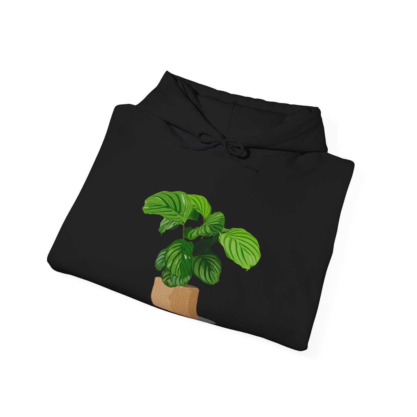 Calathea Orbifolia Plant Hoodie