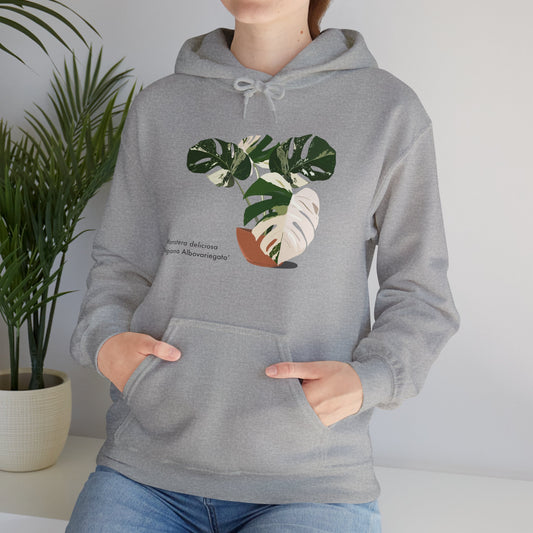 Monstera Deliciosa Borsigiana Albovariegata Hoodie - Grey