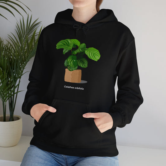 Calathea Orbifolia Plant Hoodie - Black