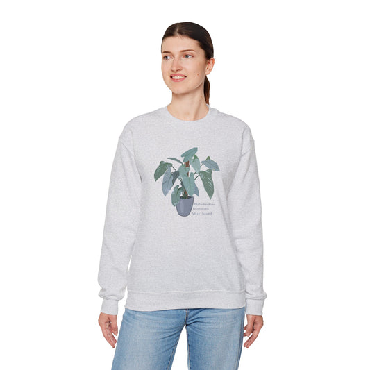 Philodendron Hastatum Silver Sword Plant Lover Crewneck Sweatshirt