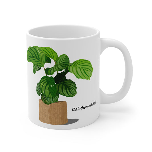 Calathea Orbifolia Plant Lover Mug - White